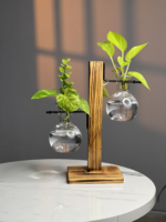 Bulb Glass Planter with Wooden Stand
