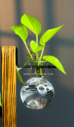 Bulb Glass Planter with Wooden Stand - Image 3